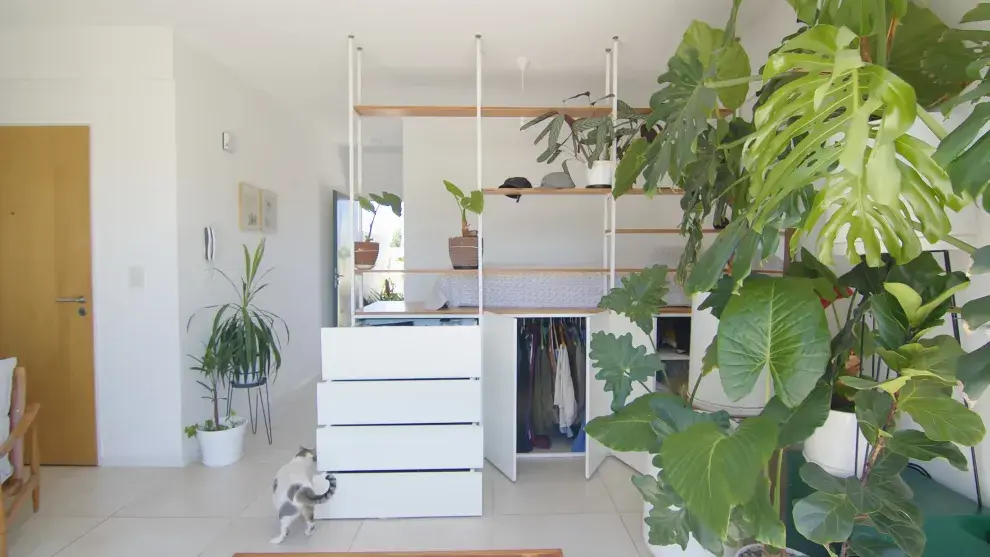 Para dividir el baño del área social, Enrico colocó una biblioteca del piso al techo con plantas entre los estantes —un guiño cálido y práctico para convivir con sus gatos.