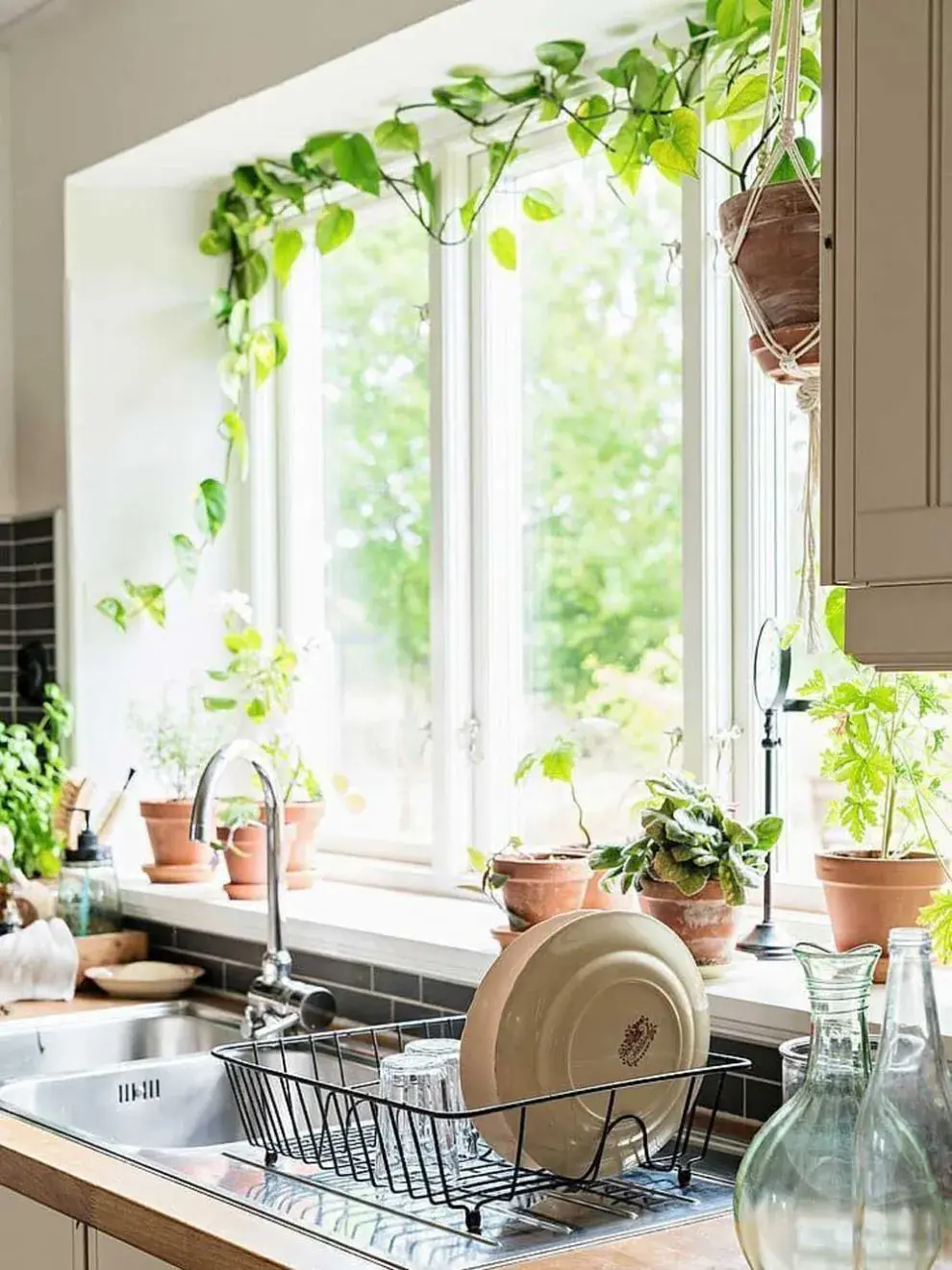 El potus no es solo una planta: es un objeto deco vivo.