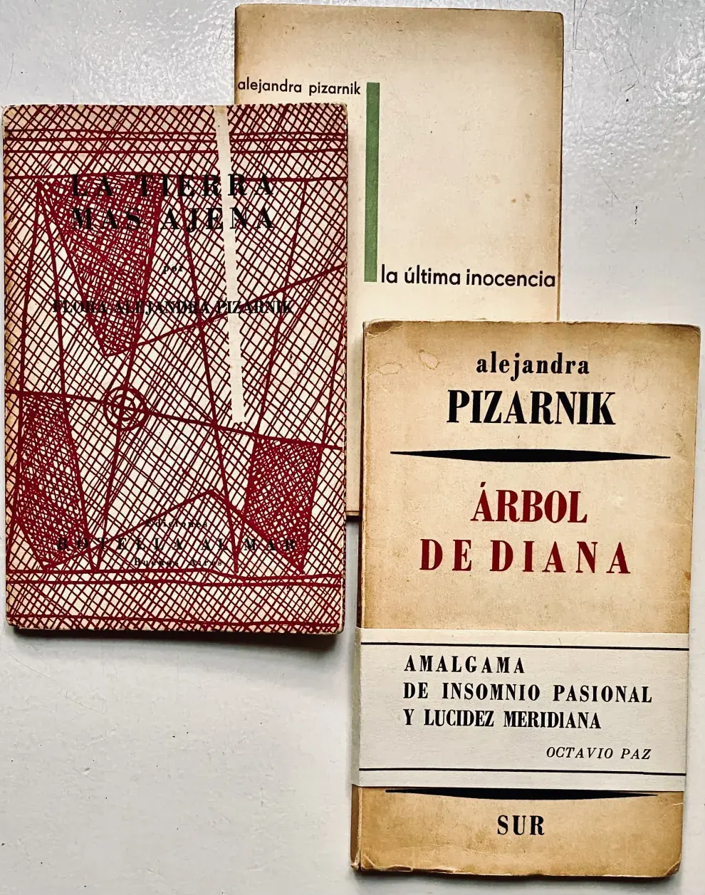 La Feria del Libro Antiguo de Buenos Aires 2025 celebra a las mujeres de la literatura argentina