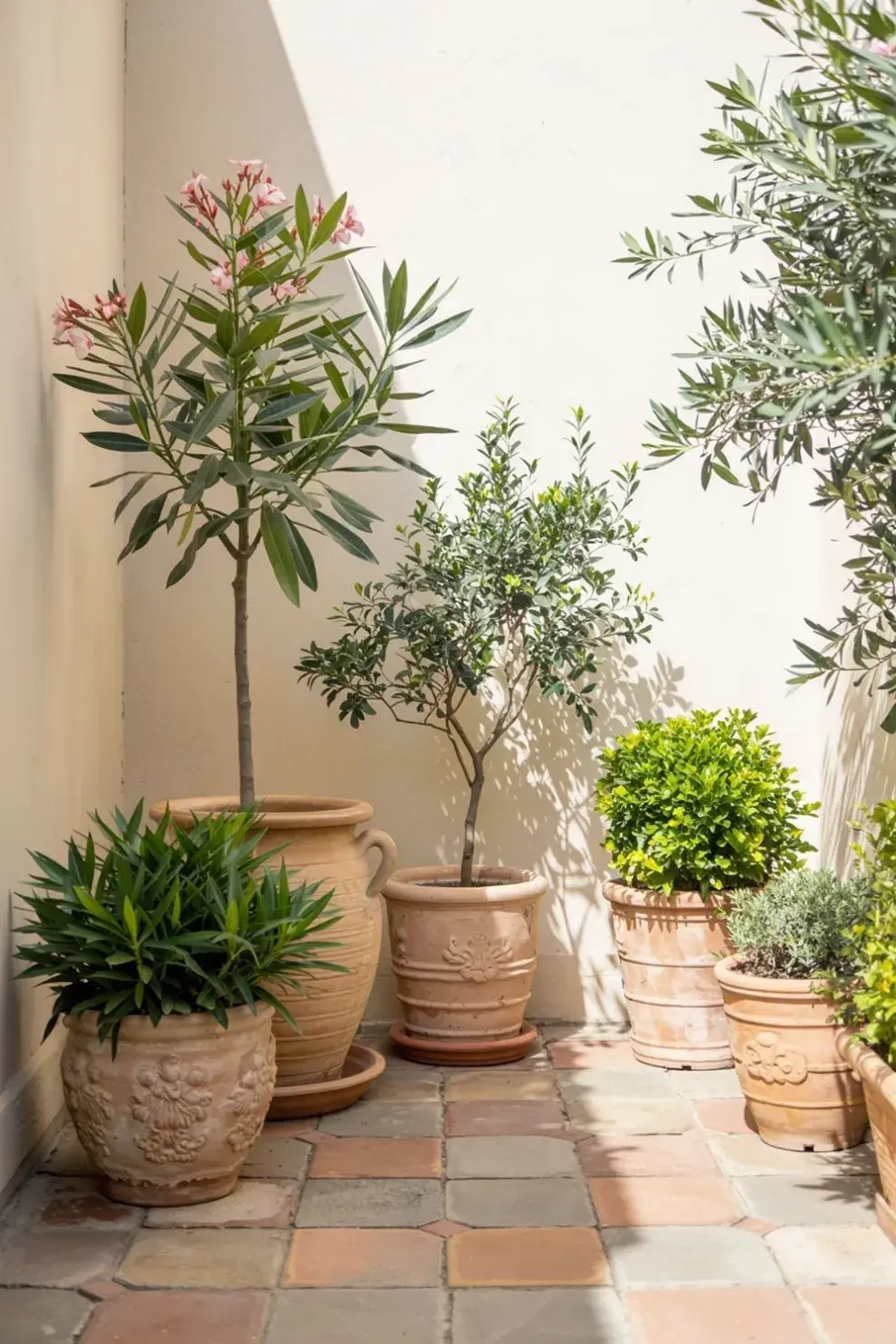Foto de patio.