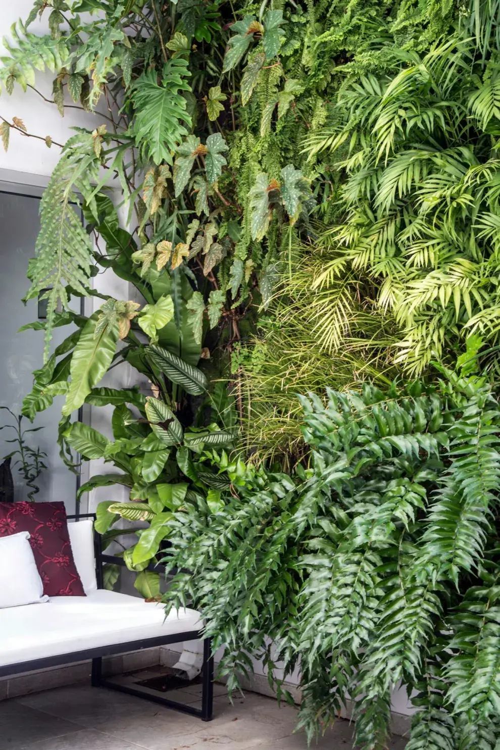 Los helechos son la solución ideal para quienes buscan integrar plantas en espacios reducidos, brindando frescura y estilo sin ocupar mucho suelo