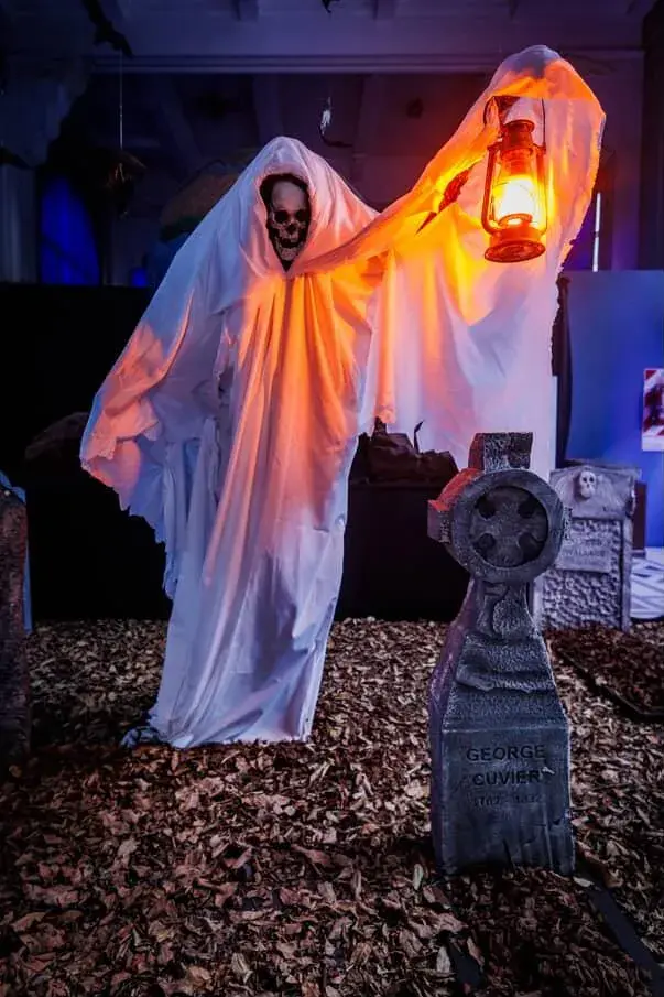 3. Museo Argentino de Ciencias Naturales