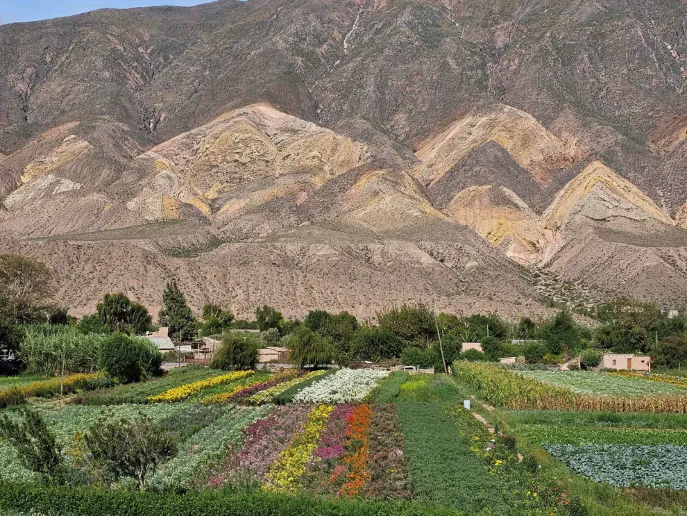 Maimará, joya cultural y paisajística dentro de la Quebrada de Humahuaca fue declarada Patrimonio Mundial por la UNESCO.