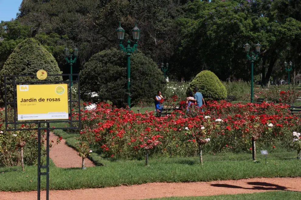 En el corazón del Parque Tres de Febrero de la ciudad de Buenos Aires se despliega un espectáculo de naturaleza que no conviene perderse: el Rosedal de Palermo, un jardín de 3,4 hectáreas donde florecen más de 8.000 rosales de 93 especies distintas.