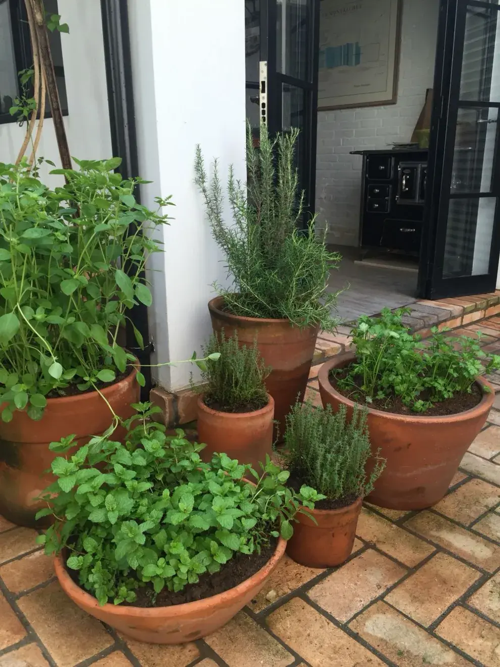 Foto de mini patios.