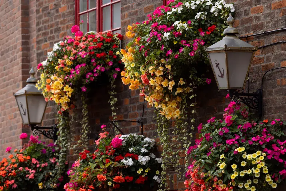 Balcones de verano: cómo lograr un balcón con cascada de flores