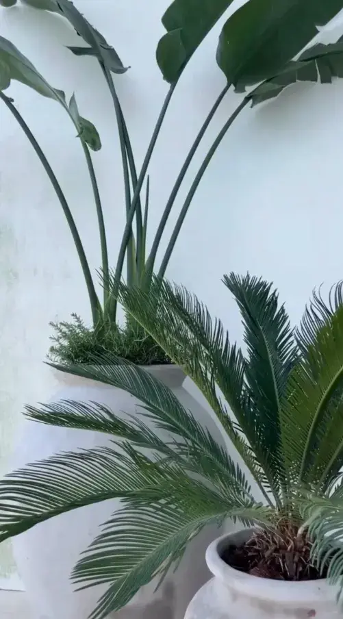 El jardín de Pampita: los detalles deco que completan el encanto.
