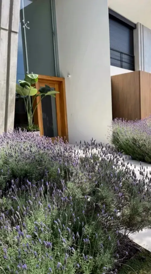 Pampita mostró el jardín de su casa de Nordelta.