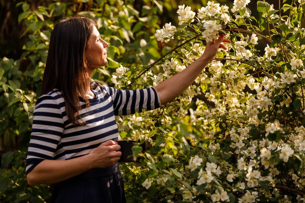 Foto de mujer junto a planta de jazmín.