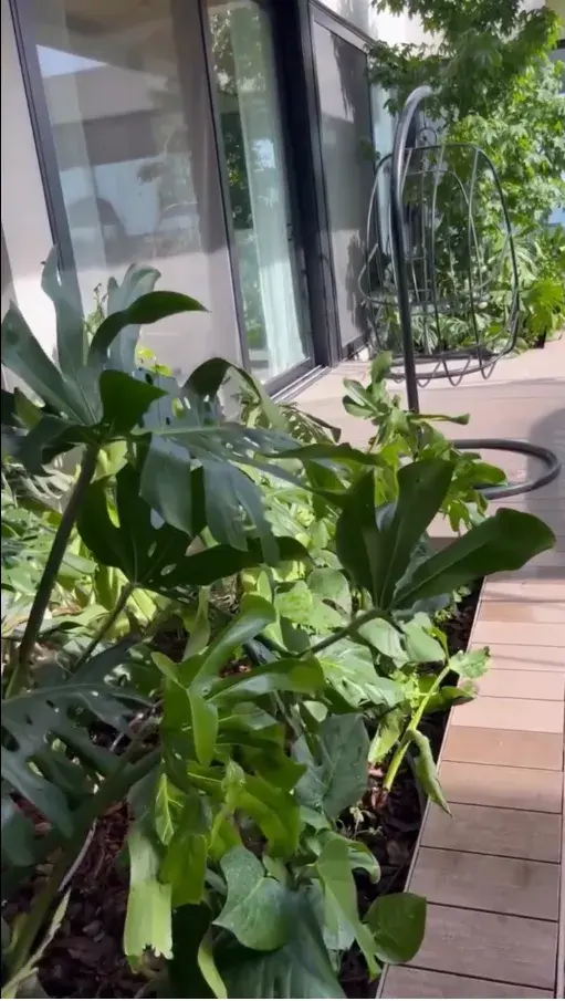 El jardín de Pampita: los detalles deco que completan el encanto.