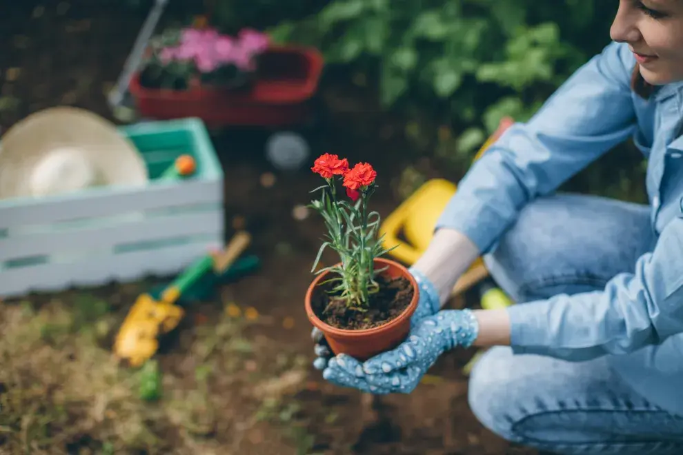 Foto de mujer cuidando plantas.