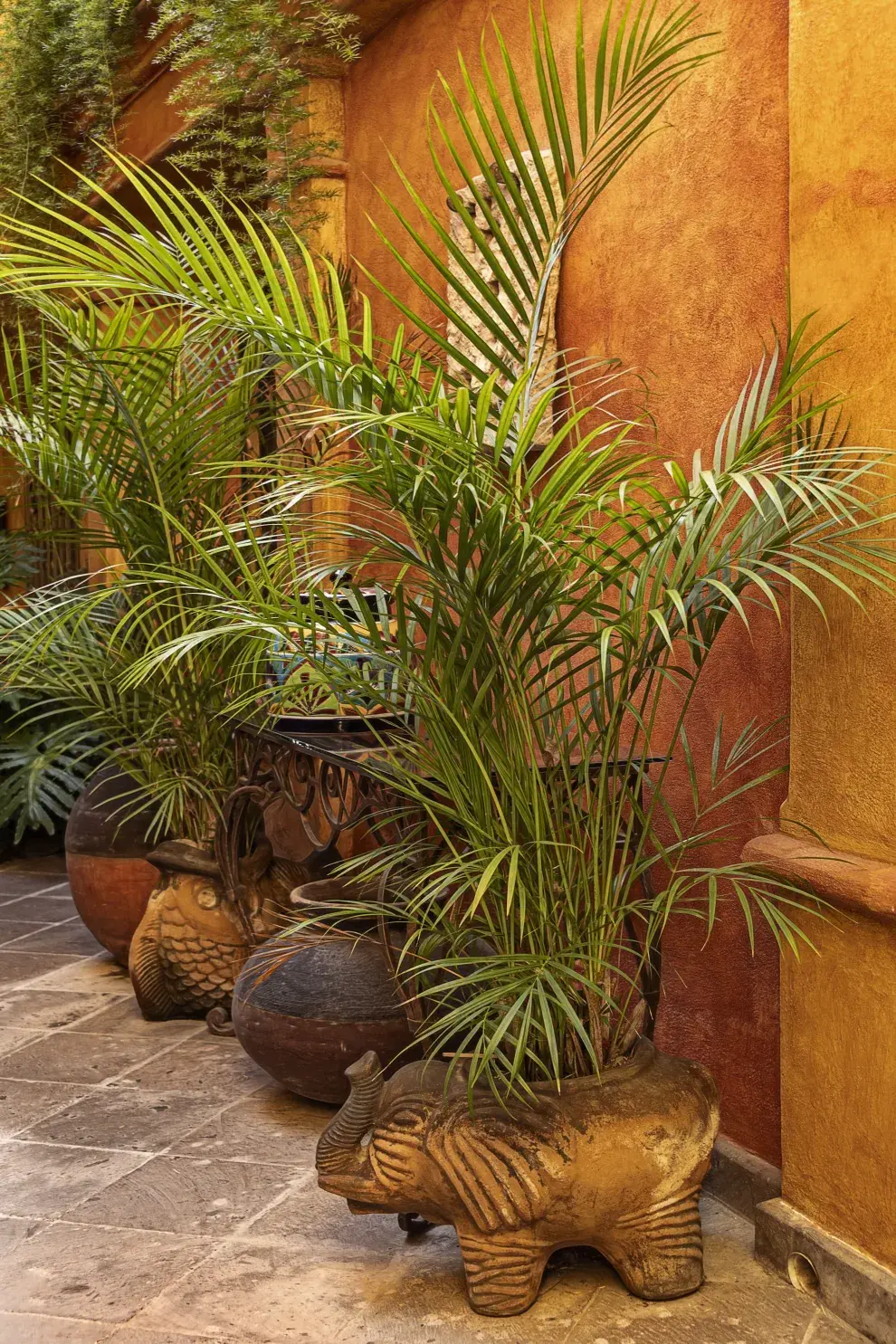 Foto de mini patios.