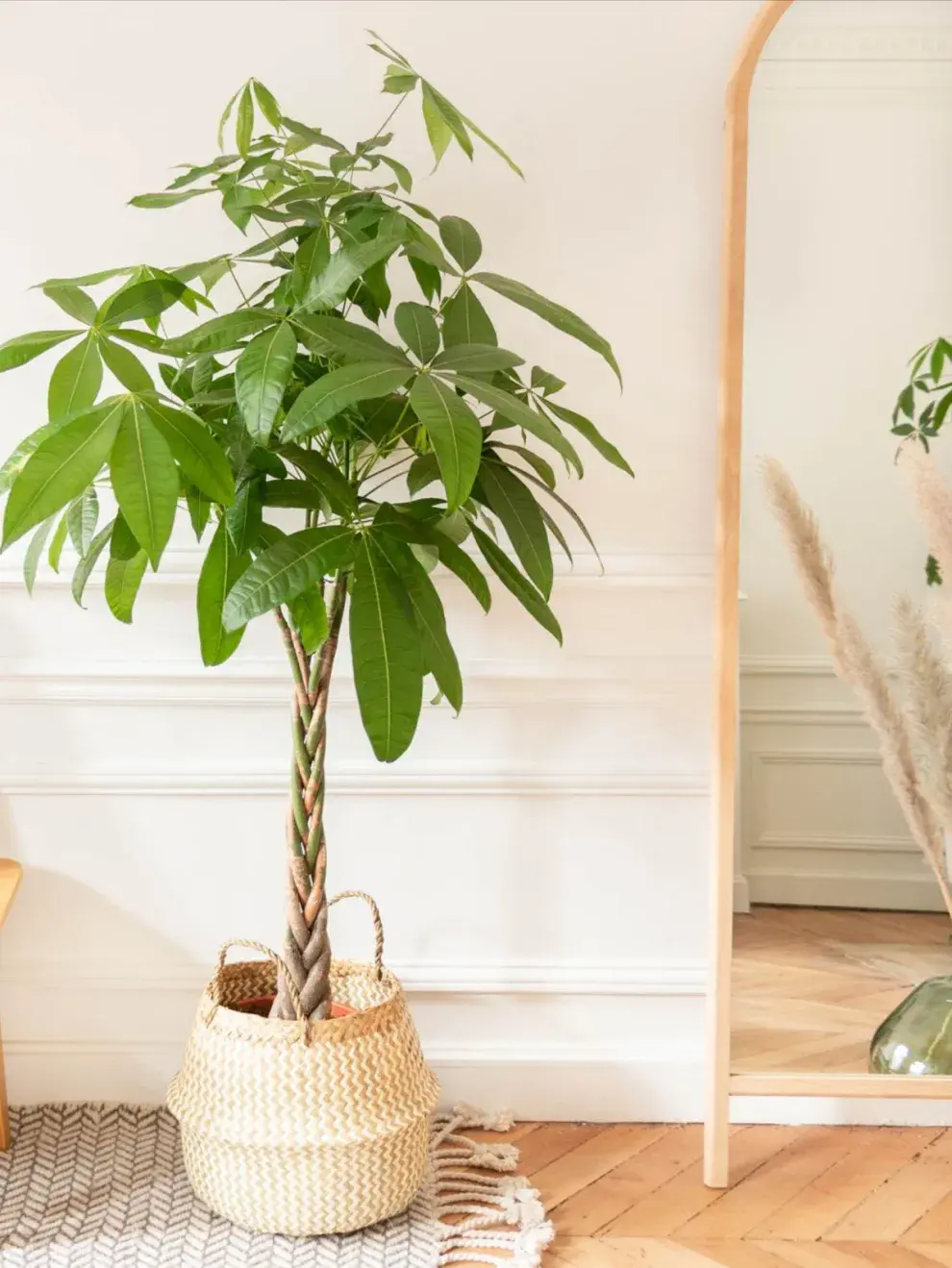 us tallos trenzados representan la unión de energías positivas que se entrelazan para lograr objetivos comune