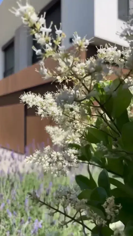 Pampita mostró el jardín de su casa de Nordelta.
