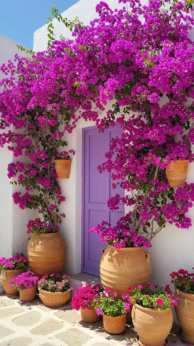 El árbol perfecto para sumar color en un mini patio o balcón