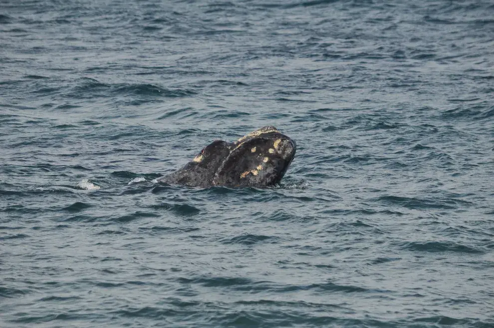 Tendencias 2025: 5 destinos nacionales elegidos por los influencers para las vacaciones de verano