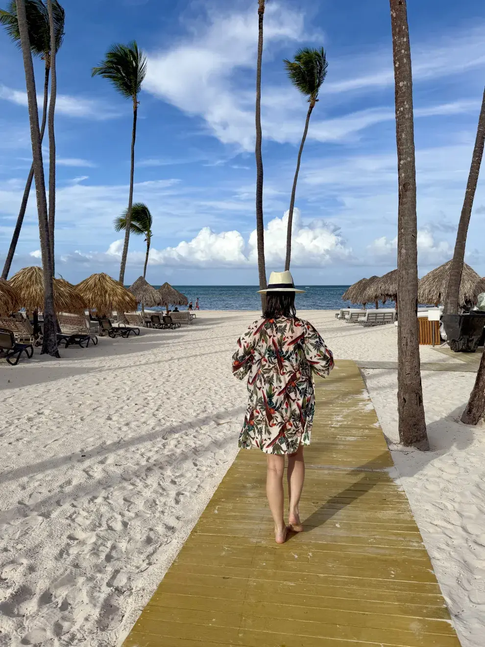 De noviembre a marzo es la mejor temporada para viajar a Punta Cana.