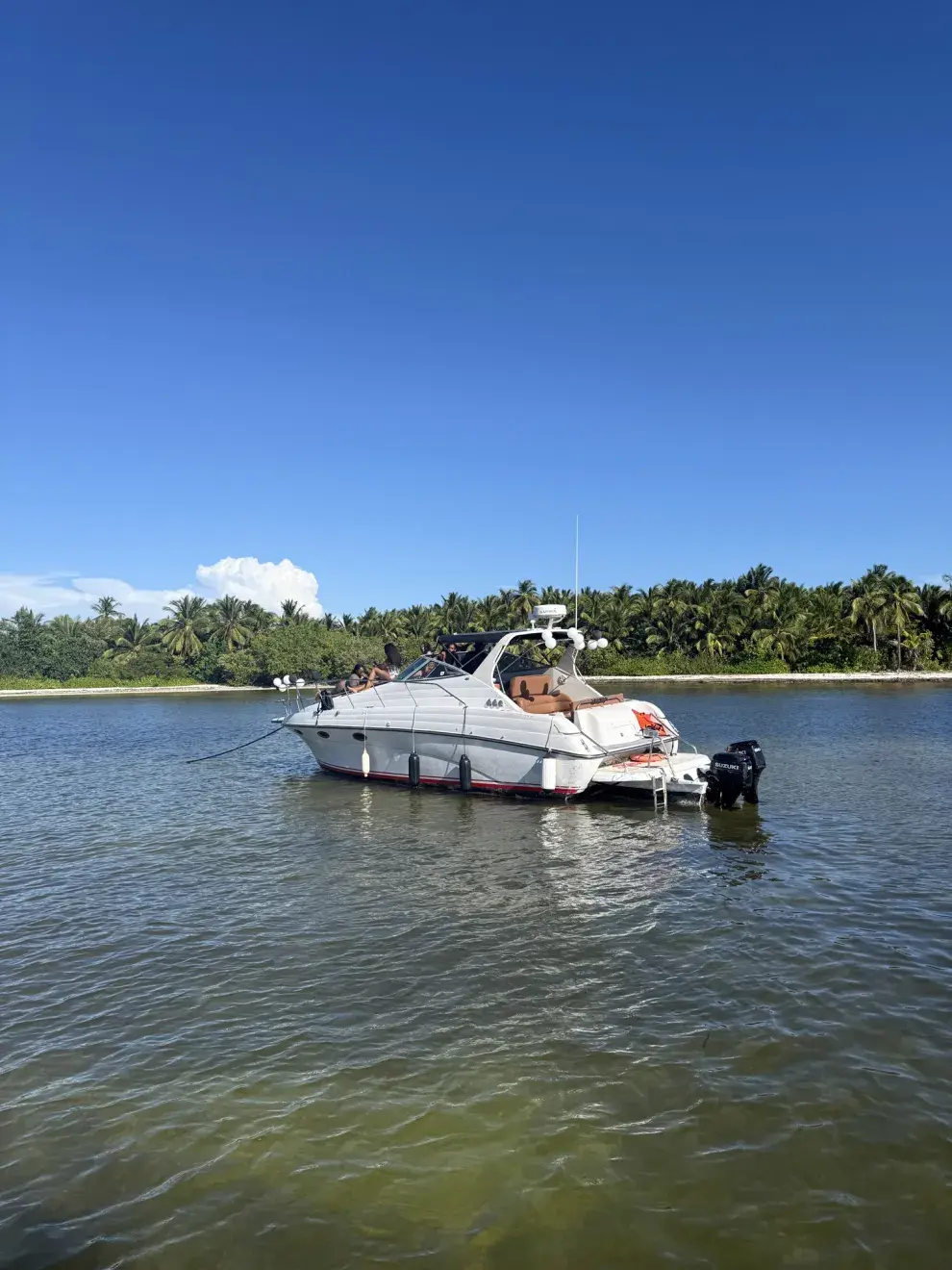 Podés hacer distintas excursiones que contratás en los hoteles: de pasaling a party-ferry.