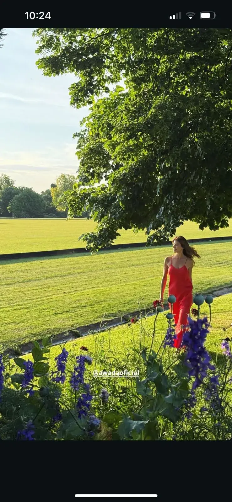 Juliana Awada con un vestido rojo ideal para la navidad