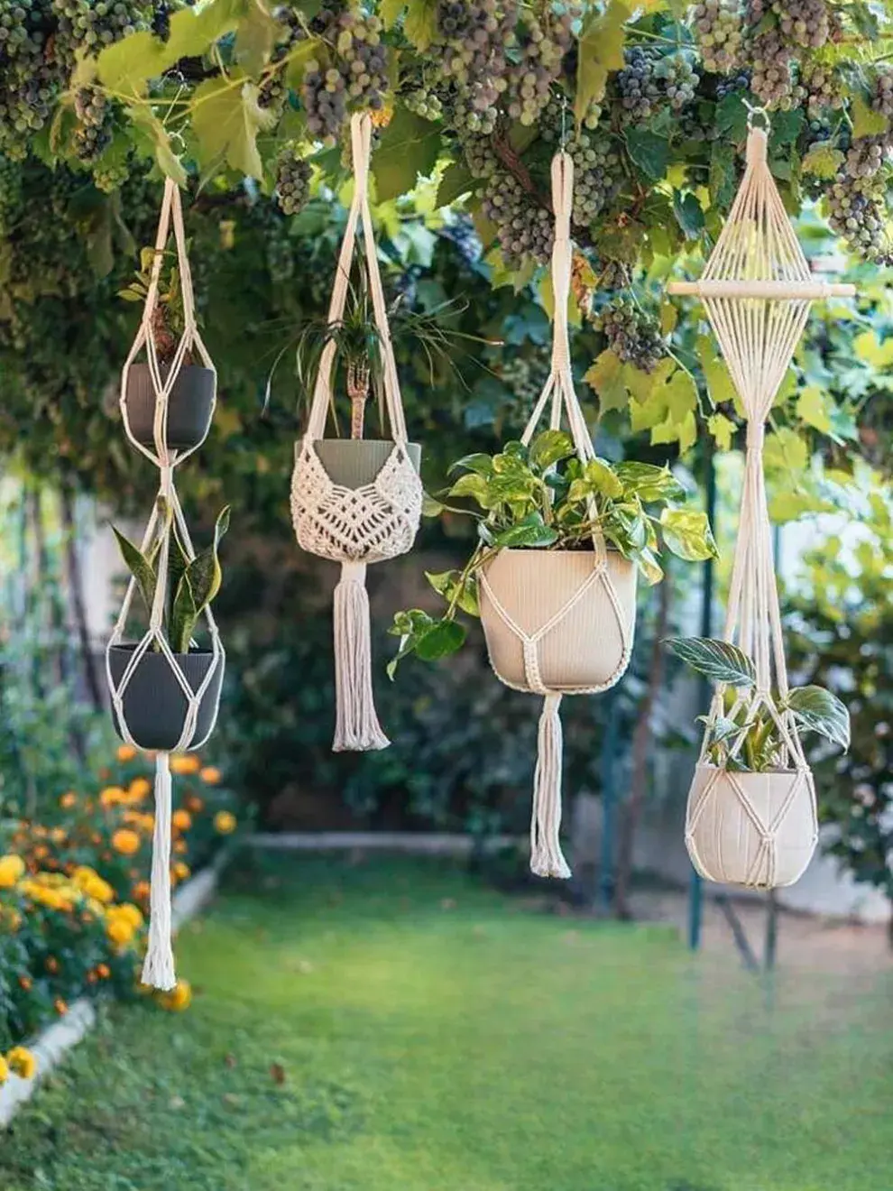 Colgar plantas del techo o de pérgolas libera el piso y aporta movimiento visual.