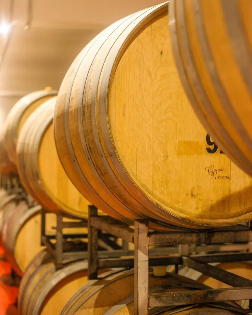 Foto de bodega en Mendoza.