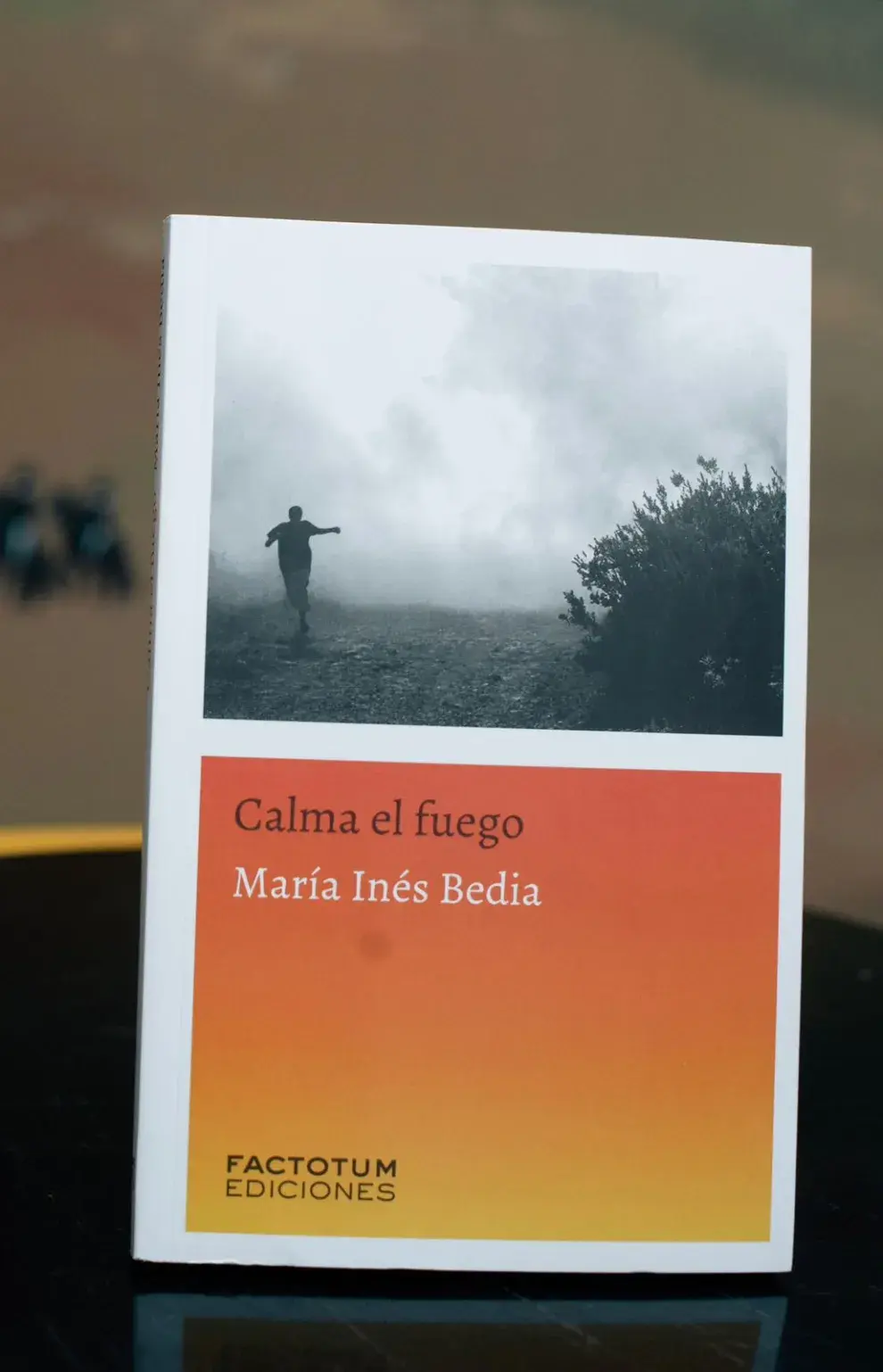 Calma el fuego (Factotum Ediciones) es la segunda novela de María Inés Bedia.