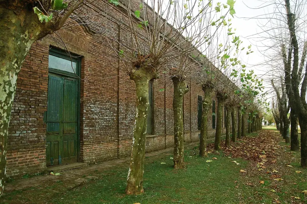 Escapadas en Buenos Aires: el pueblo ideal para disfrutar del campo y la calma