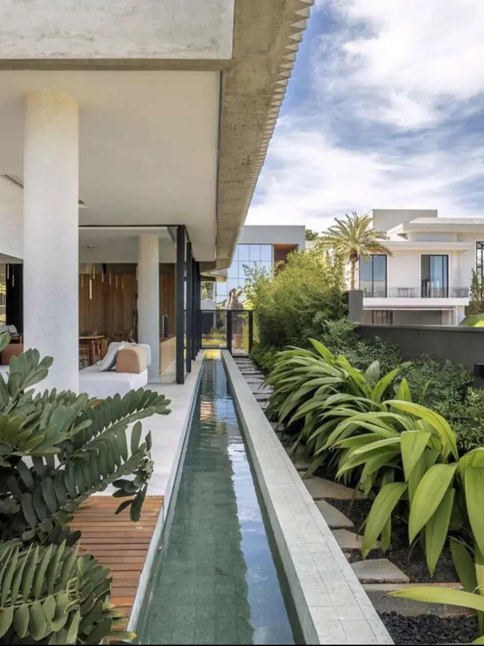 Sumá algo de verde para darle vida al espacio