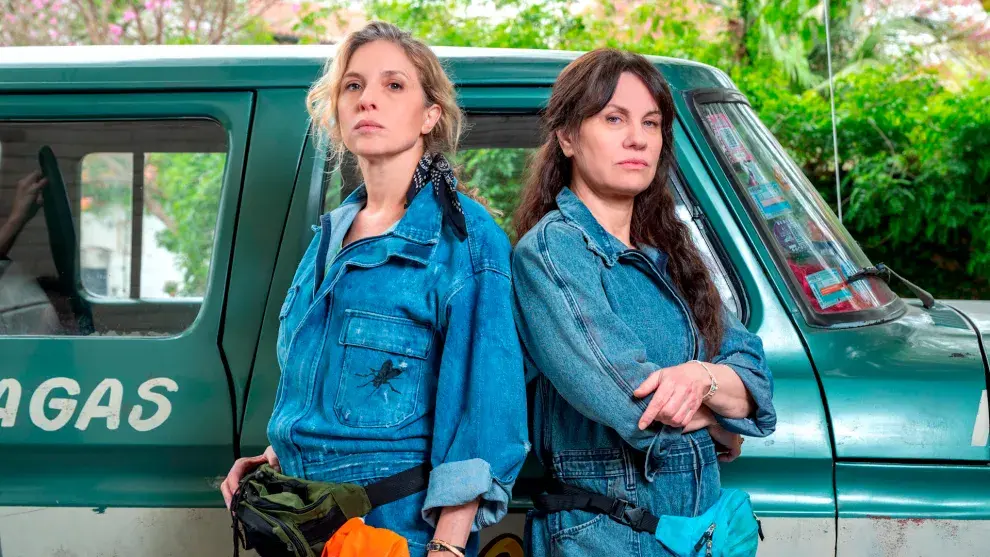 Foto de El tiempo de las moscas.