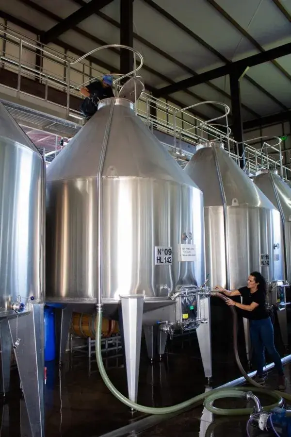 La Ruta del Vino Pet Friendly: bodegas de Mendoza donde podés llevar a tu mascota