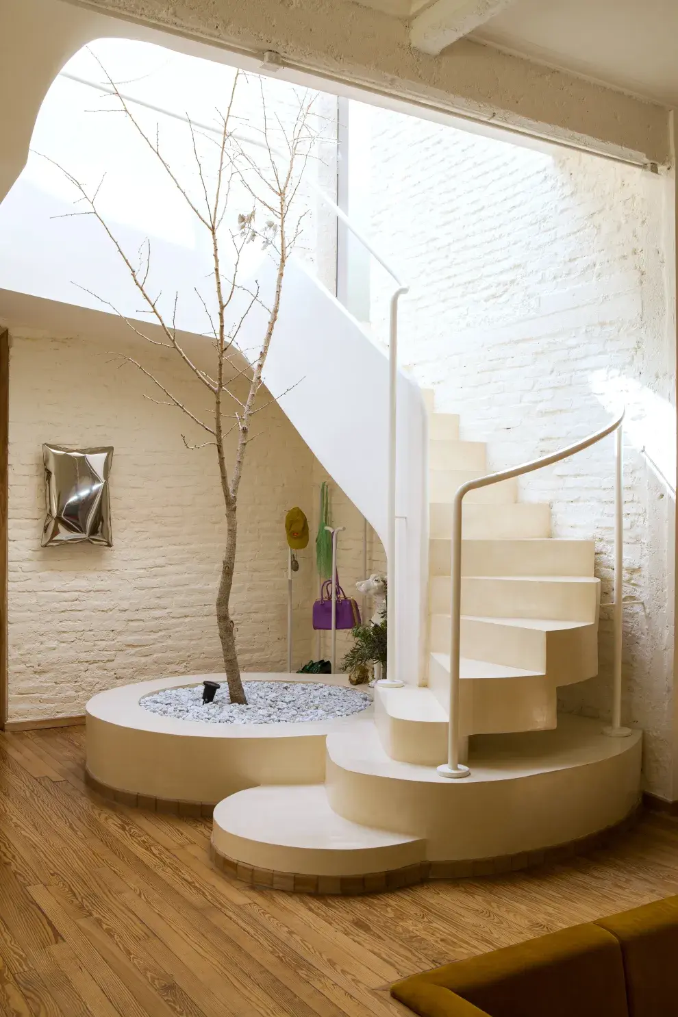 Símbolo de esperanza: este ginkgo biloba recibe con naturaleza y armonía