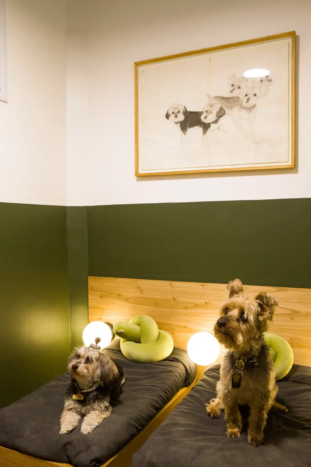 En el bajo escalera, el cuarto de cuentos de Ramón y Norma. El retrato es de Germán Gentile