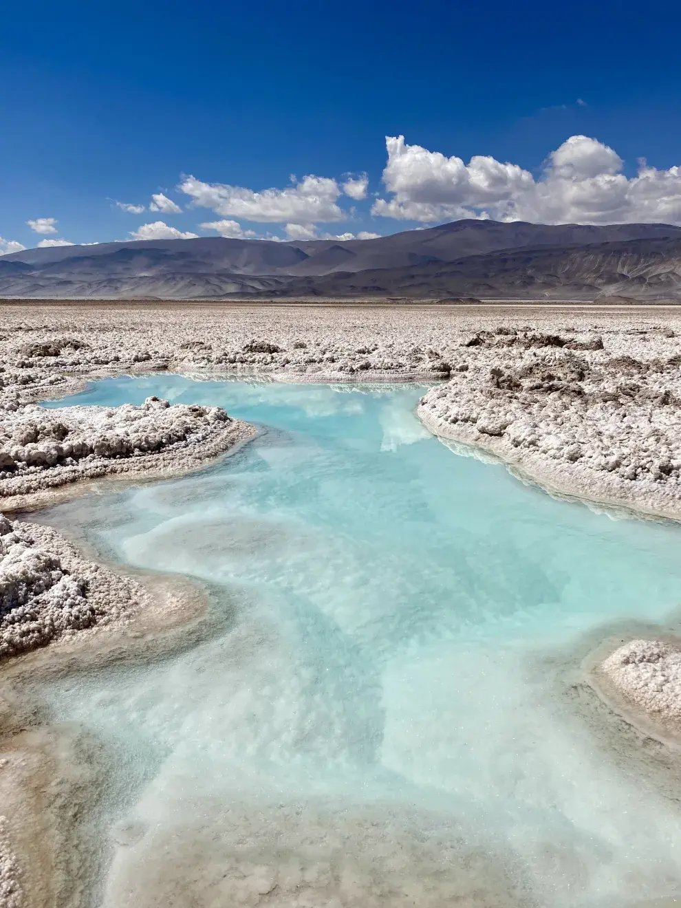 Salar en Antofalla, Puna.