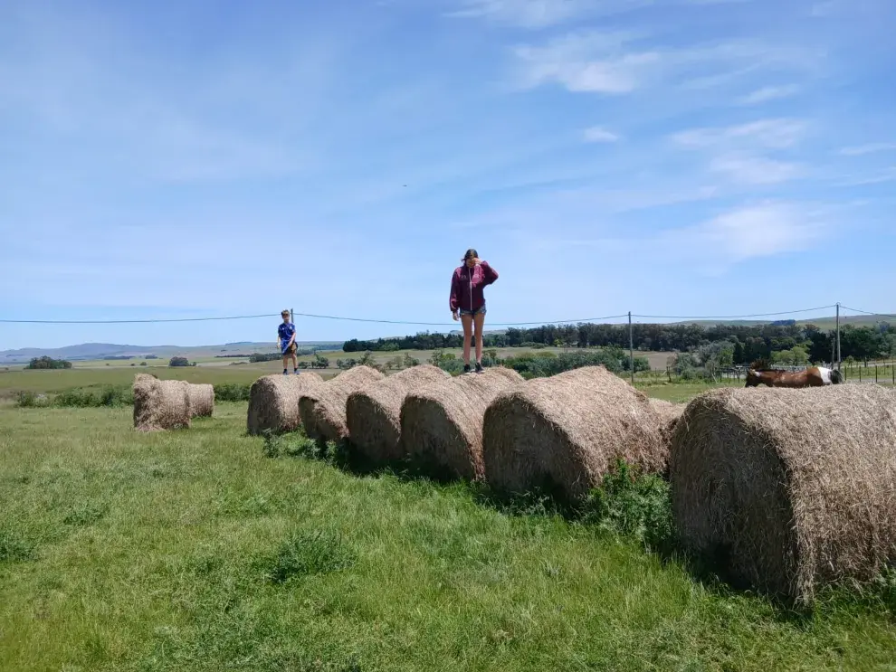 Se puede trepar a los fardos de granja Las Cavas, luego de visitar a las ovejas y dar de comer a los caballos. 