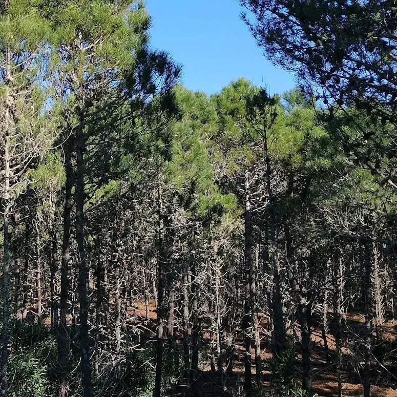 Foto de Valeria del Mar.