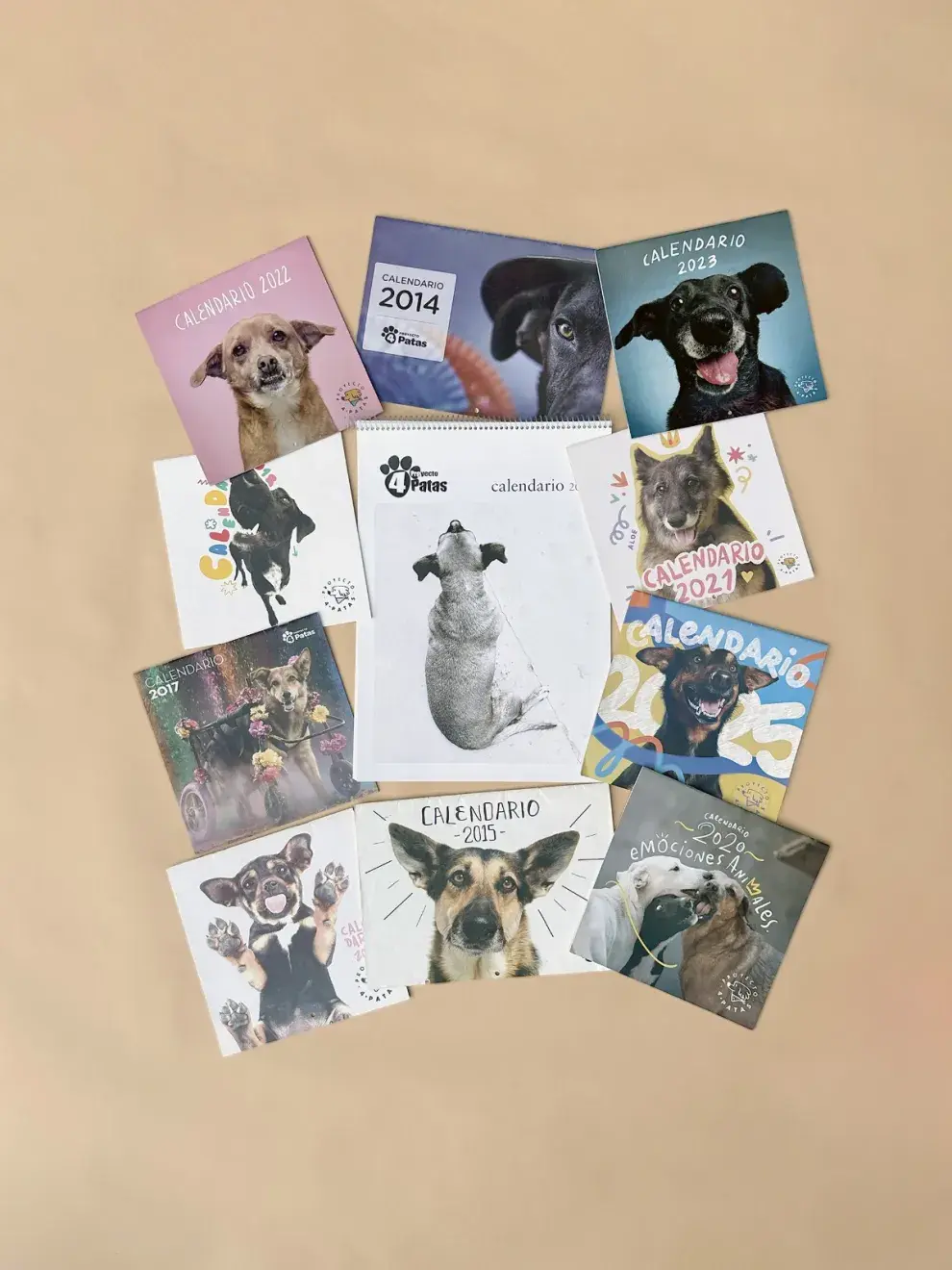 Calendario del proyecto 4 Patas.