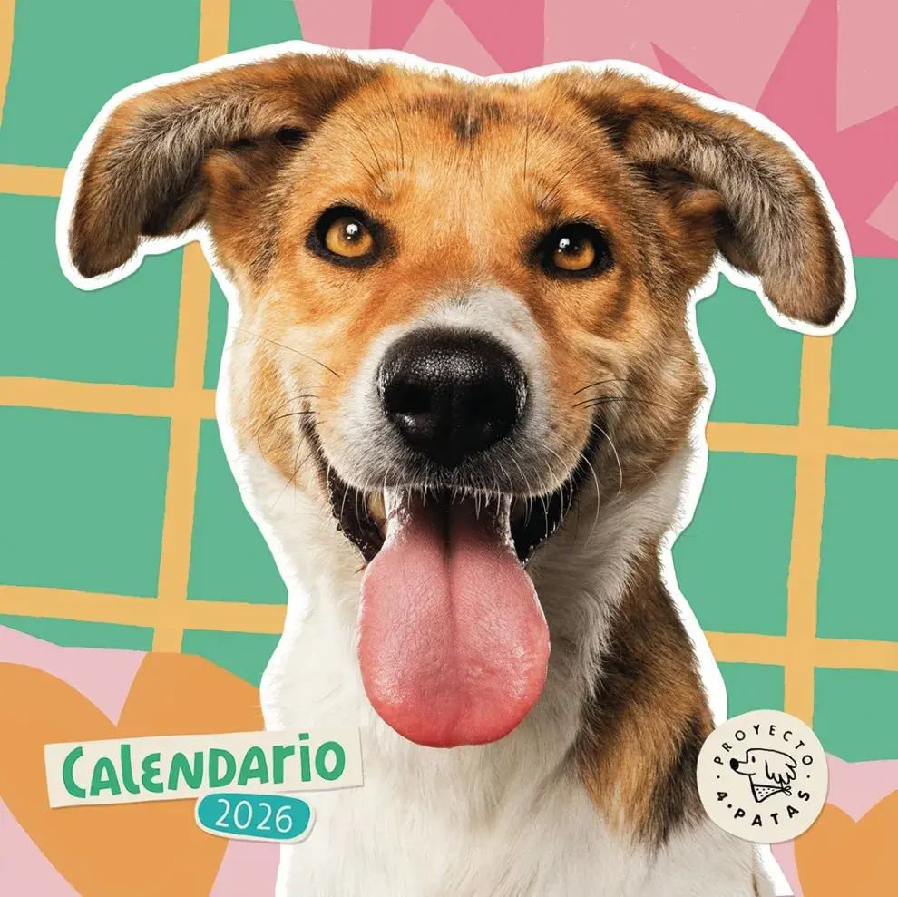Calendario del Proyecto 4 Patas.