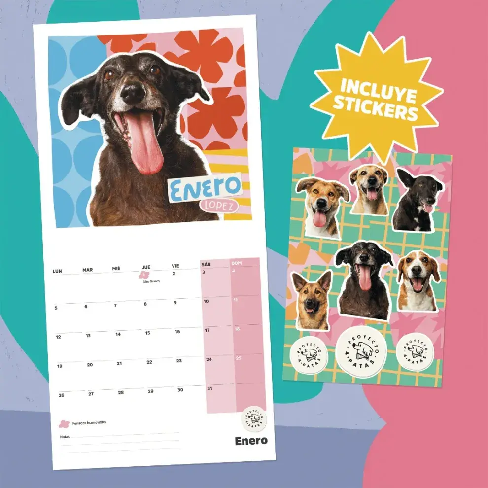 Calendario del proyecto 4 Patas.
