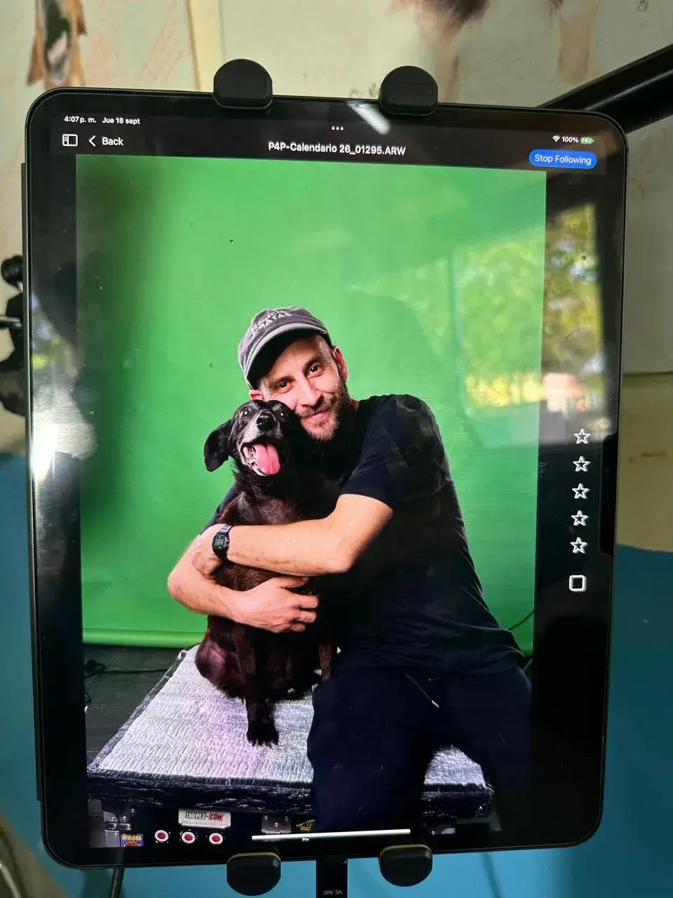 Calendario del proyecto 4 Patas.