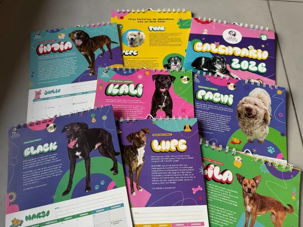 Grupo de rescate y adopción Santa Ramona.