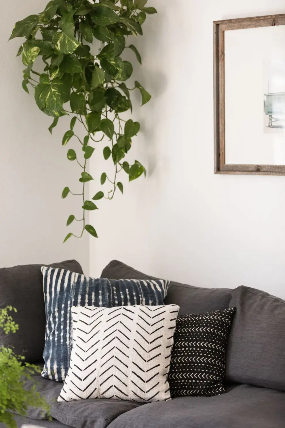 Potus en cascada: cómo lograr ese efecto verde que transforma cualquier rincón de tu casa