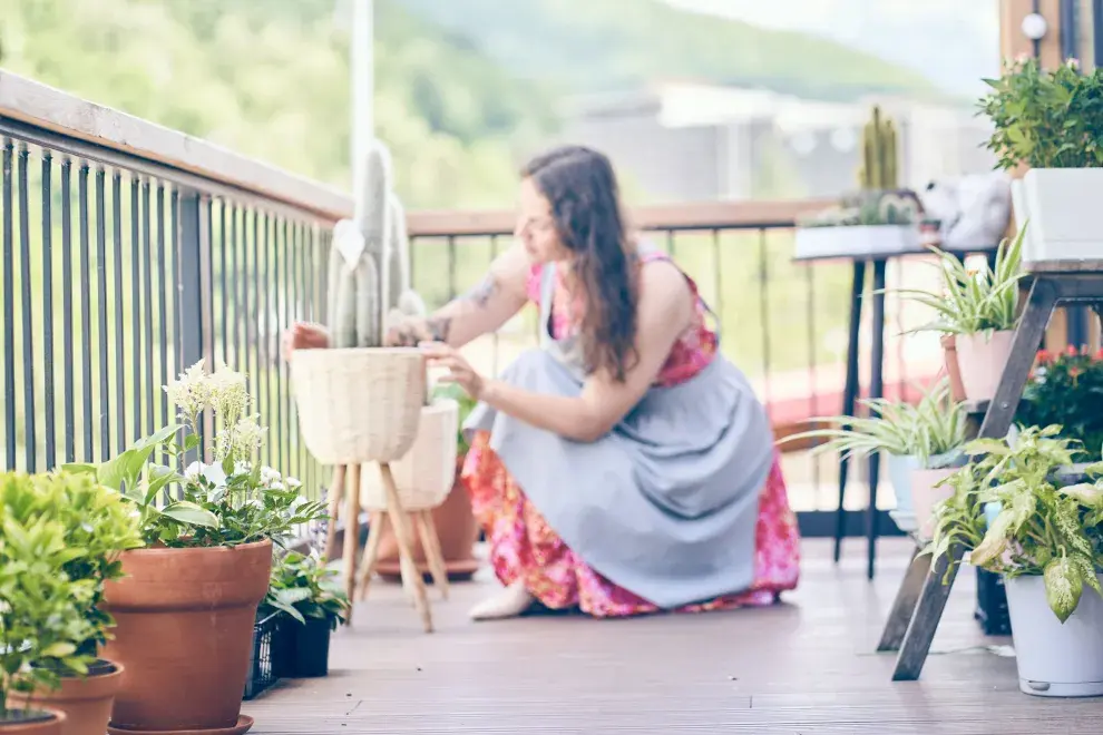 Más allá del significado tradicional, muchas personas eligen poner un cactus en su balcón con una intención clara: crear un espacio de contención y equilibrio energético