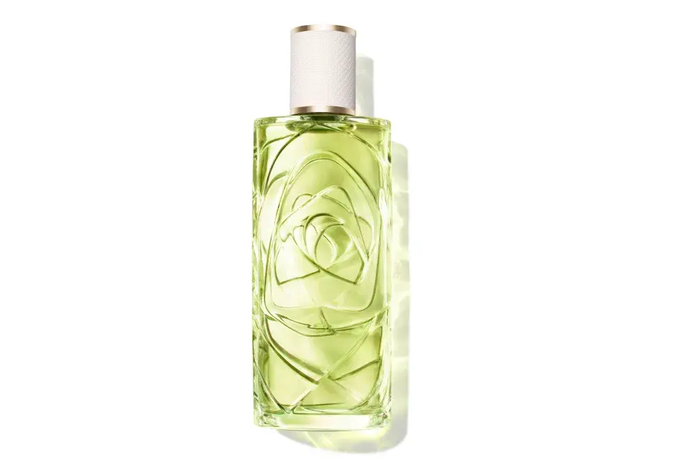 Inspirada en la tranquilidad de una tarde de verano, Ôff Now se ha convertido en la fragancia perfecta para quienes buscan equilibrio y calma, con un aroma que actúa como un refugio sensorial para la mente y el cuerpo. (Lancôme Ôff Now EDT x 100 ML)