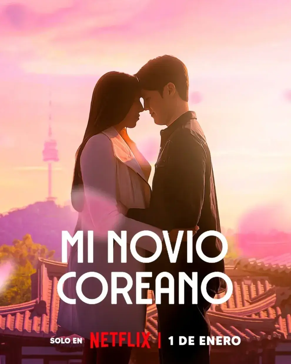 Póster de Mi novio coreano.