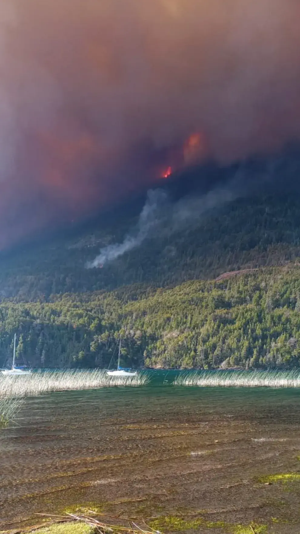 Las llamas, impulsadas por fuertes vientos y altas temperaturas, se propagaron rápidamente hacia zonas pobladas y turísticas cercanas a Lago Puelo y El Hoyo