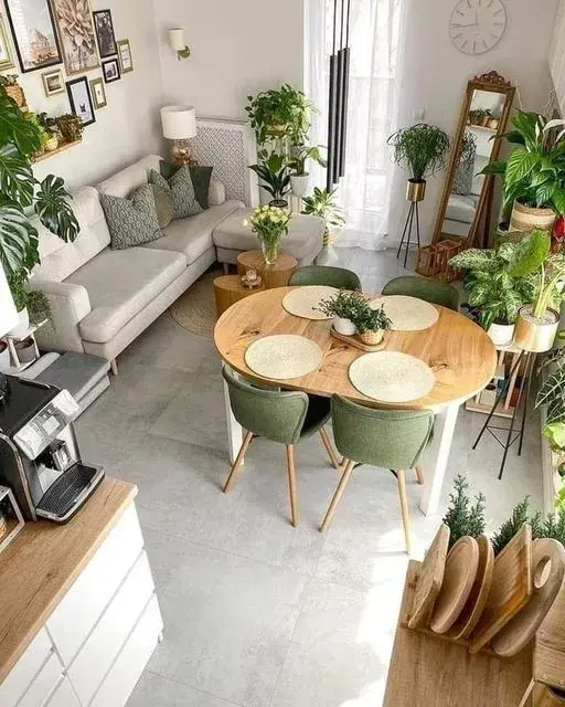 5 plantas ideales para habitaciones chicas