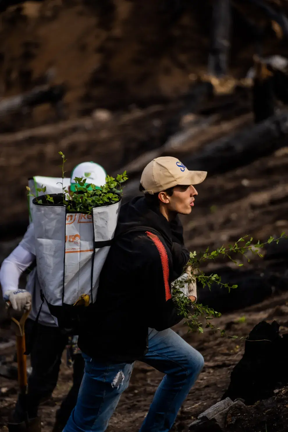 La ONG ReforestArg se ocupa de la restauración ecológica después del fuego: cómo es ese trabajo tan esencial.