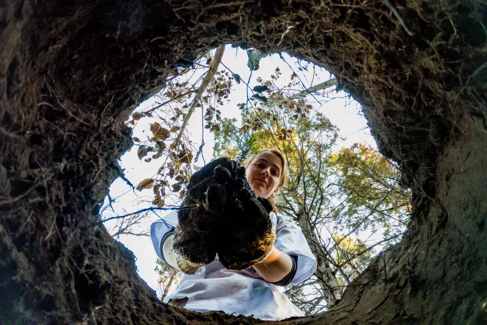 La ONG ReforestArg se ocupa de la restauración ecológica después del fuego: cómo es ese trabajo tan esencial.