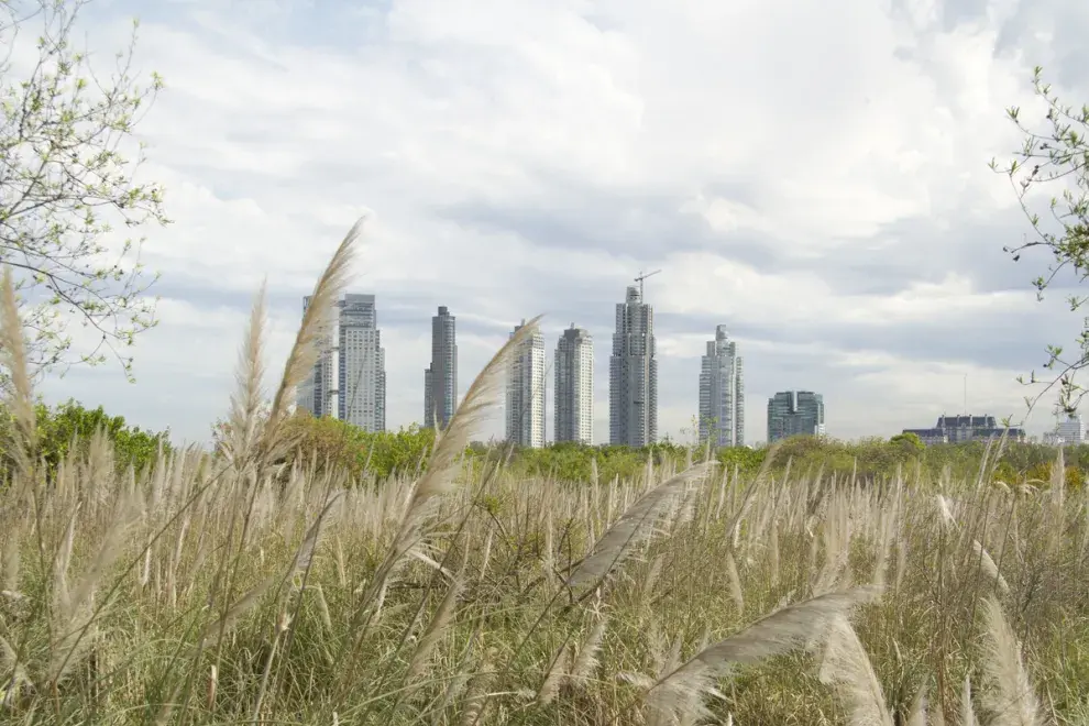 Entre Puerto Madero y el Río de la Plata se encuentra la primer Área Natural Protegida de la Ciudad de Buenos Aires