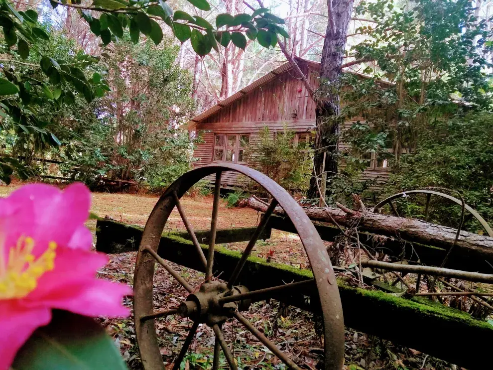 Tigre, un destino ideal para viajar sin auto